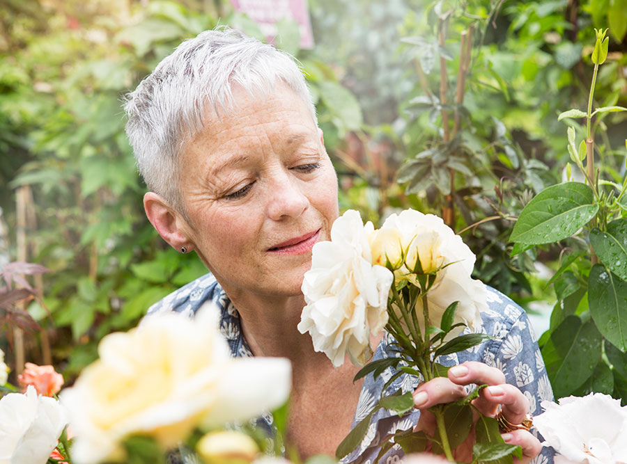 Can Poor Sense of Smell Predict Death in Older Adults? Everything Zoomer