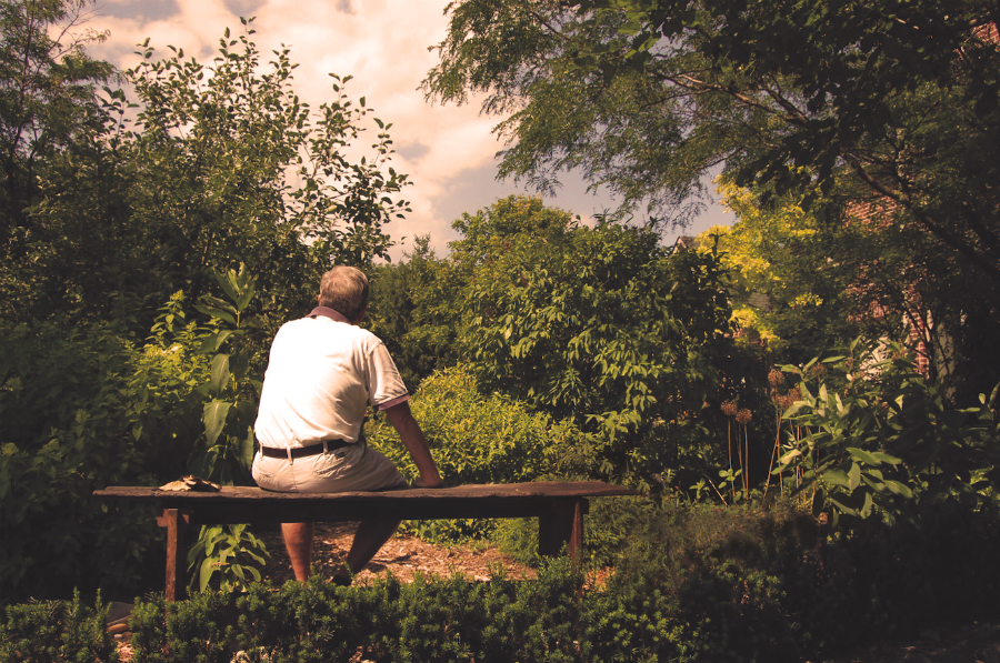 A picture of a man sitting on a bench looking at some trees and a garden.