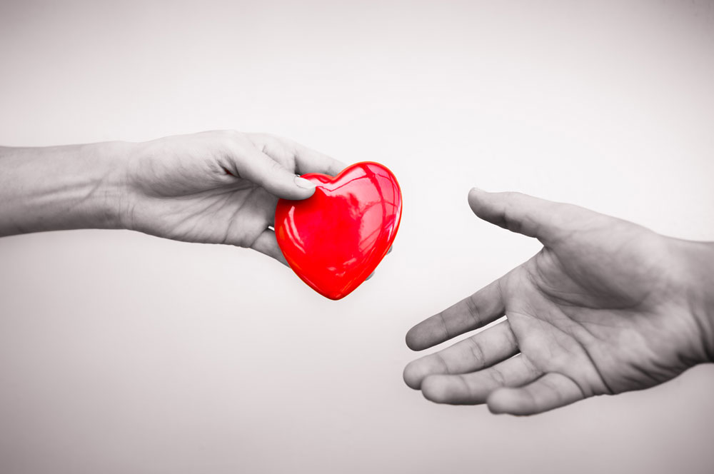 Symbol of charity and donation: Two hands holding a heart