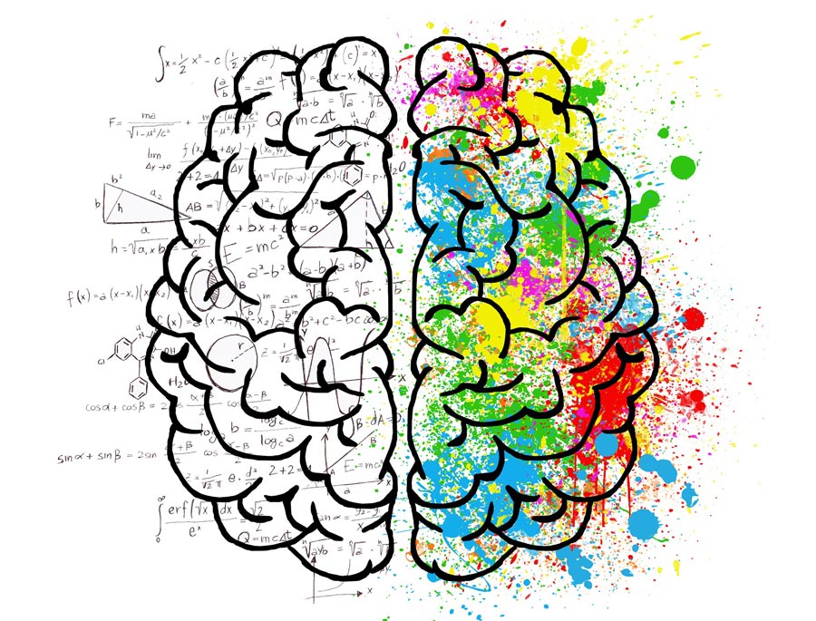 Illustration of a human brain