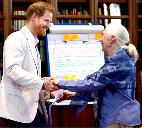 Prince Harry and Jane Goodall