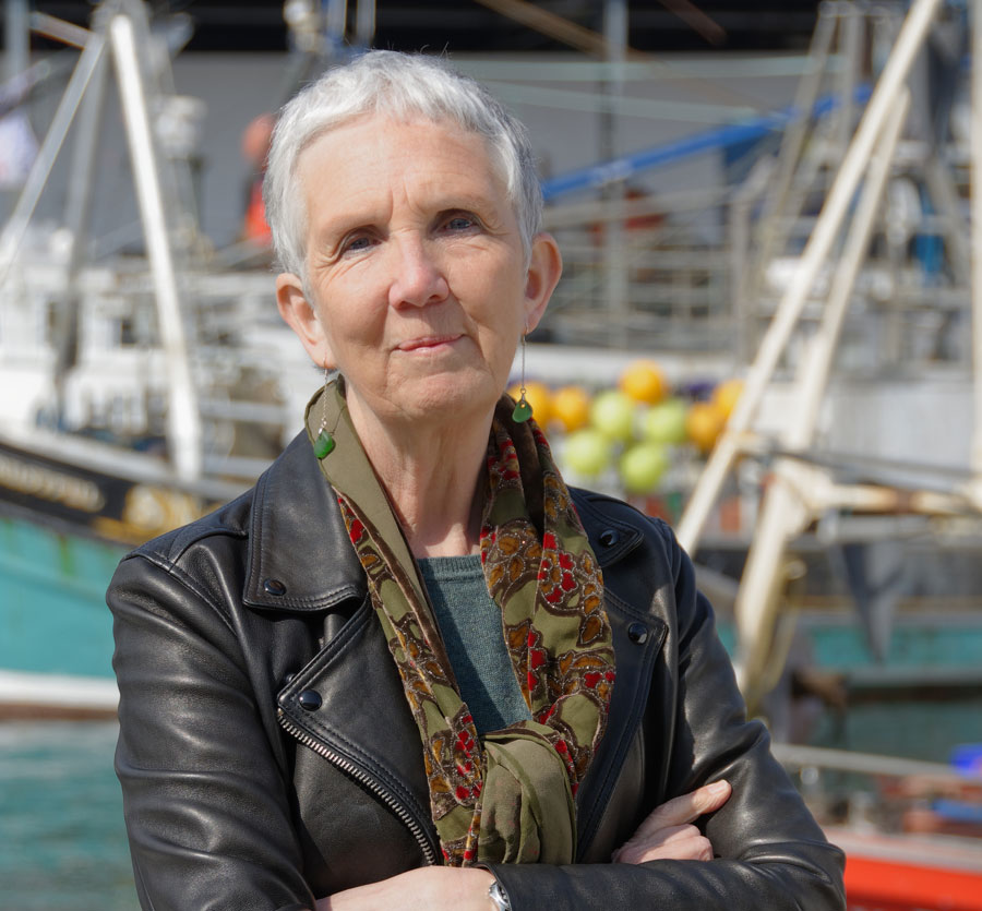 ann cleeves the two rivers series