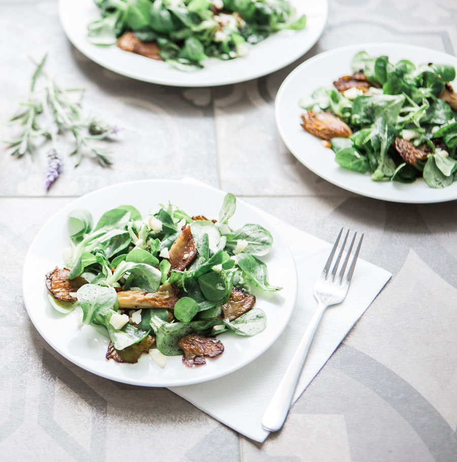 Several plates of mushrooms on salad