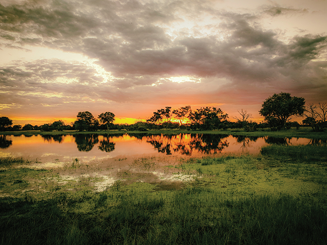 Zimbabwe’s Hwange National Park.