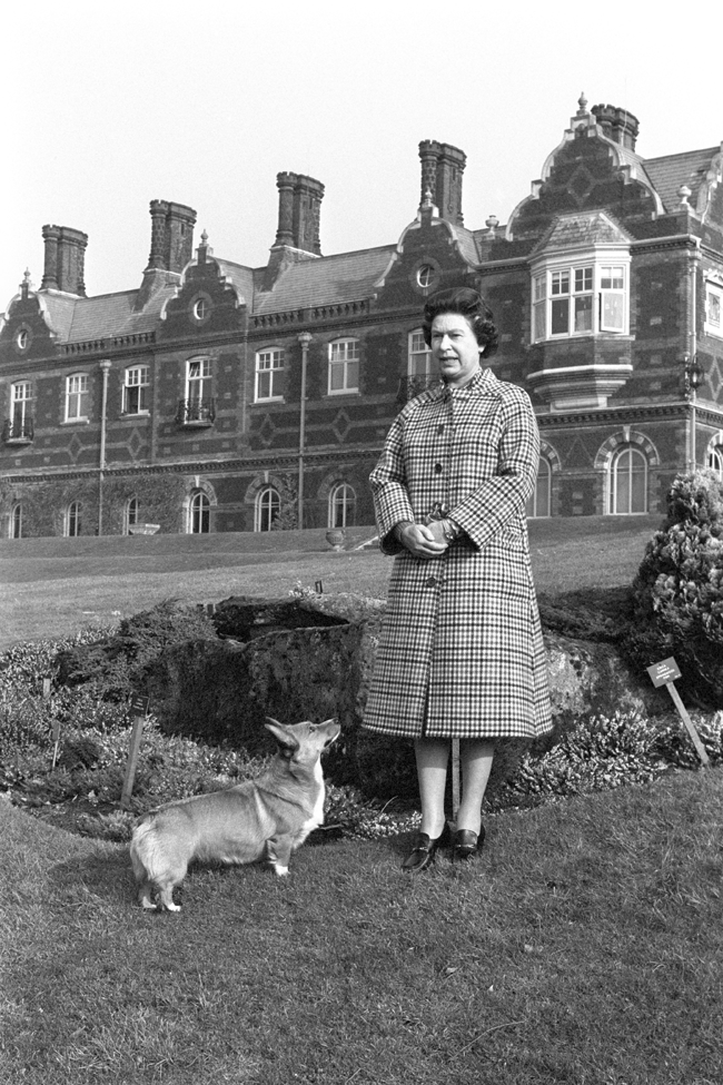 Queen Elizabeth II with a corgi in the grounds of Sandringham House, Norfolk, to mark the 30th anniversary of the Queen's accession to the throne.