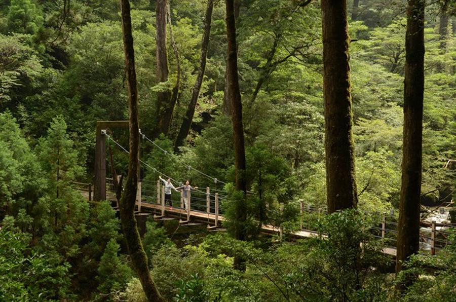 Yakushima, Japan, Sankara Hotel