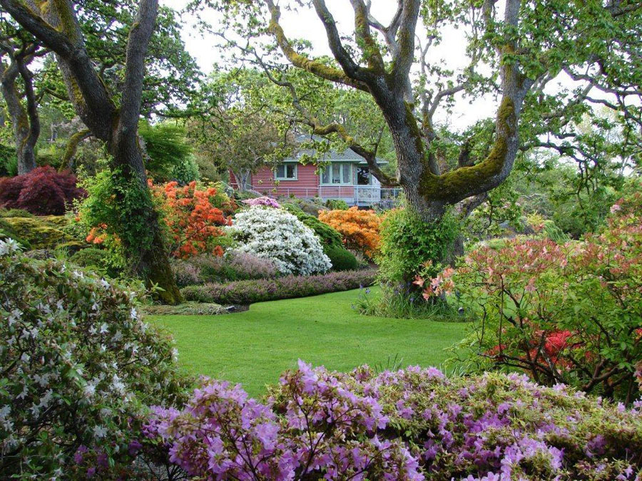 Abkhazi Gardens