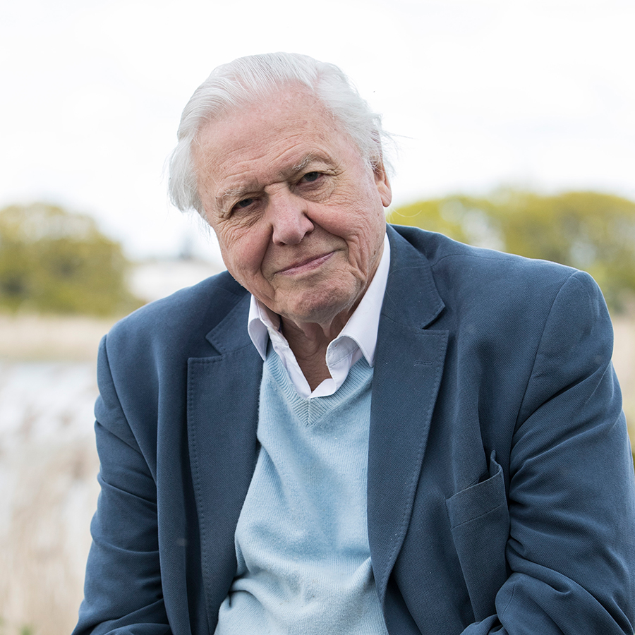 David Attenborough