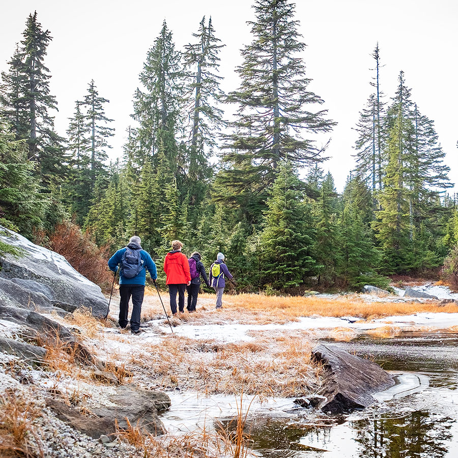 Winter trail