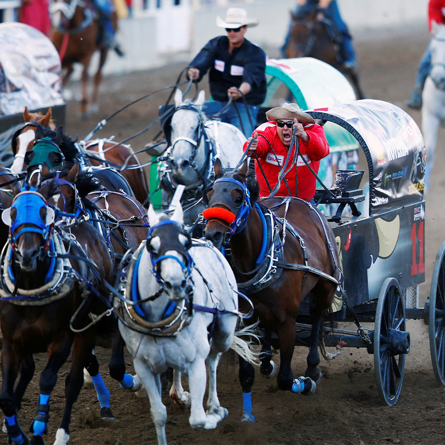 Travel - Calgary Stampede