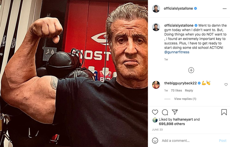How Old Is Sylvester Stallone 2024 Elinor Faustina