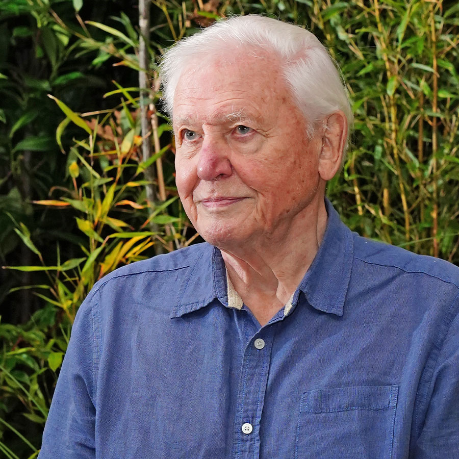 David Attenborough