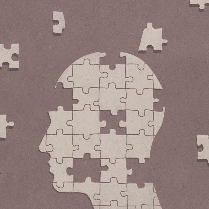 Going to Pieces Puzzles and the Brain Everything Zoomer