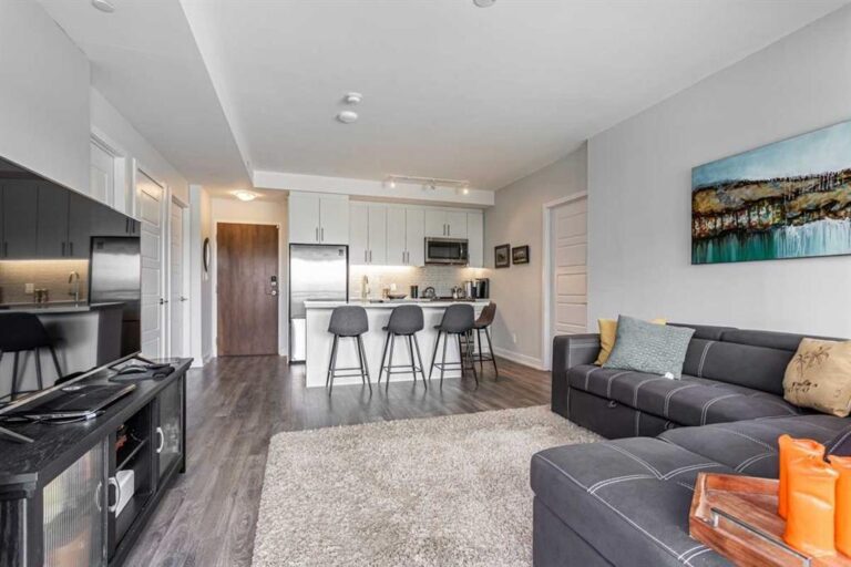 Zone Classifieds Everything Zoomer