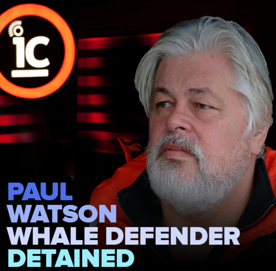 Paul Watson