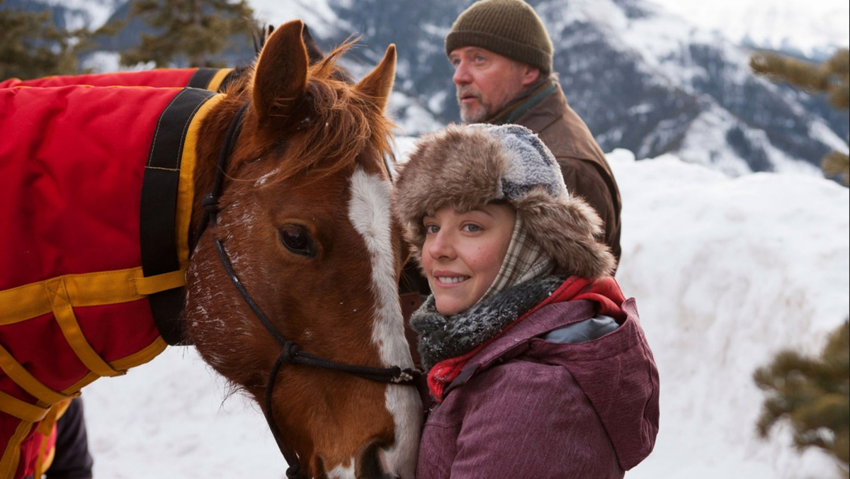 Horses of McBride VisionTV