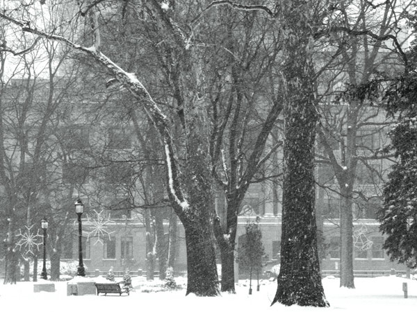 "Winter Scene" on Flickr (http://www.flickr.com/photos/24172622@N04/2333353958/)