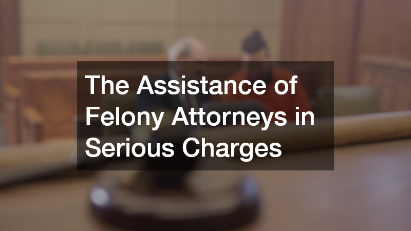 The Assistance of Felony Attorneys in Serious Charges