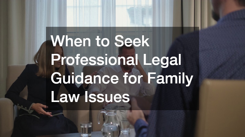 When to Seek Professional Legal Guidance for Family Law Issues