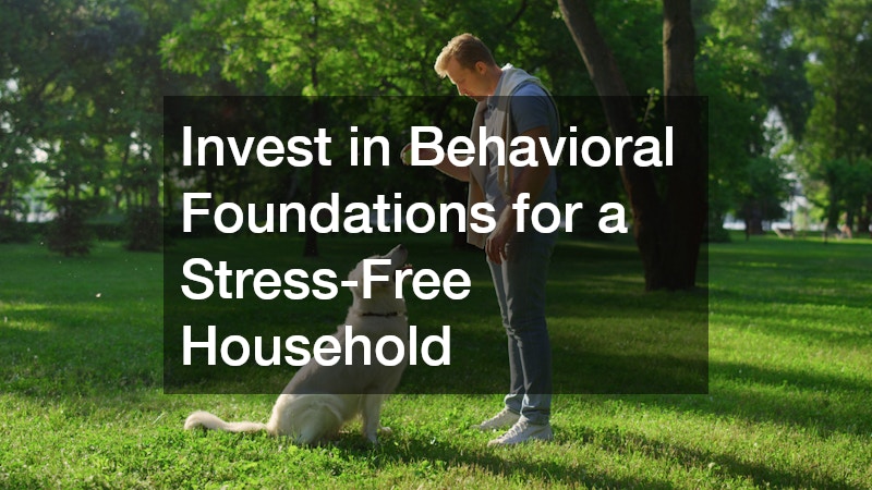 Invest in Behavioral Foundations for a Stress-Free Household