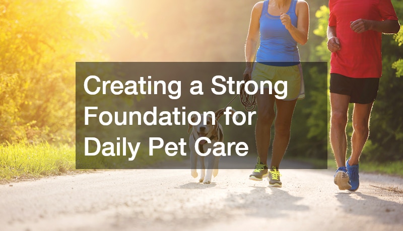 Creating a Strong Foundation for Daily Pet Care