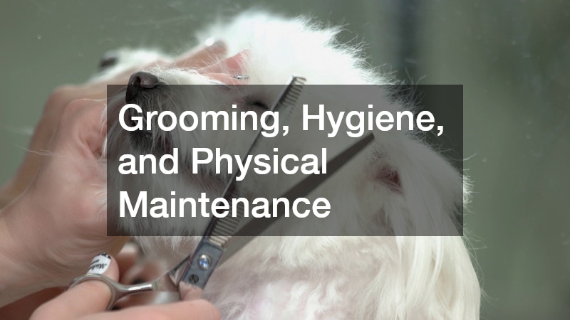 Grooming, Hygiene, and Physical Maintenance
