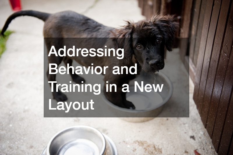 Addressing Behavior and Training in a New Layout