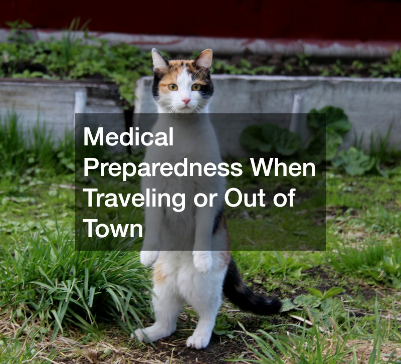 Medical Preparedness When Traveling or Out of Town