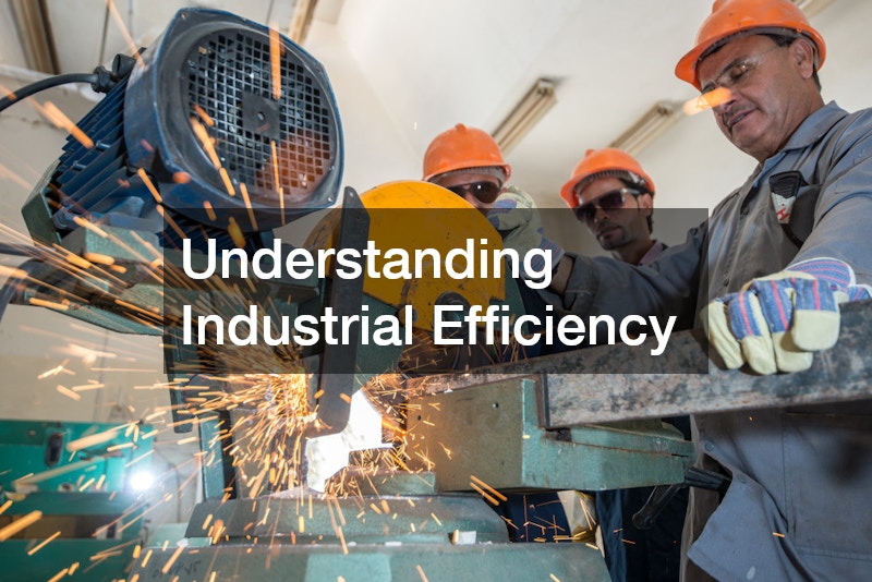 Understanding Industrial Efficiency