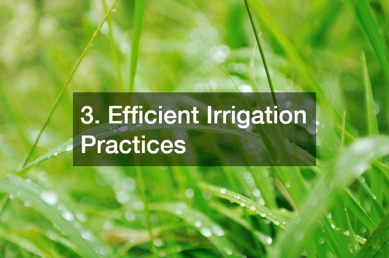 3. Efficient Irrigation Practices