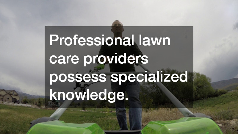Professional lawn care providers possess specialized knowledge.