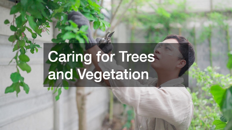 Caring for Trees and Vegetation