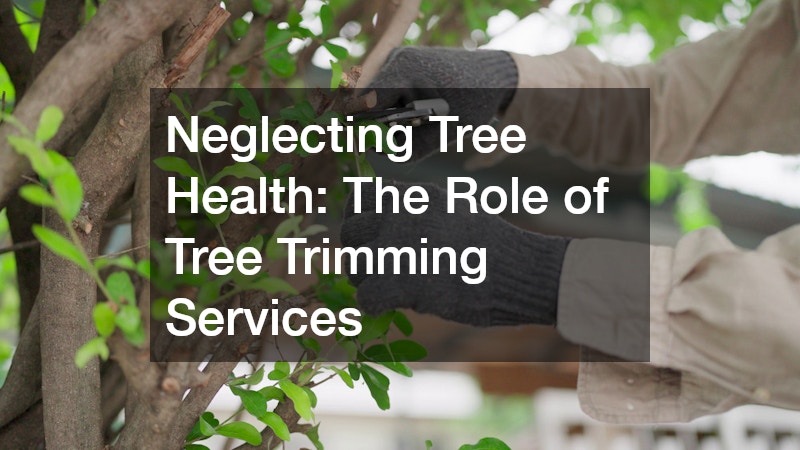 Neglecting Tree Health: The Role of Tree Trimming Services