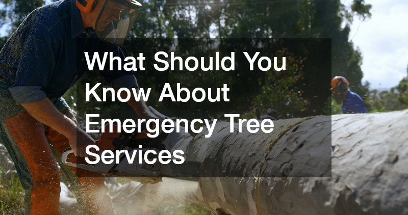 What Should You Know About Emergency Tree Services