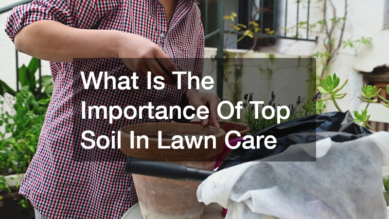 What Is The Importance Of Top Soil In Lawn Care