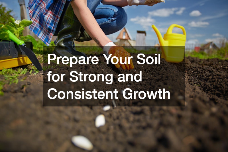 Prepare Your Soil for Strong and Consistent Growth