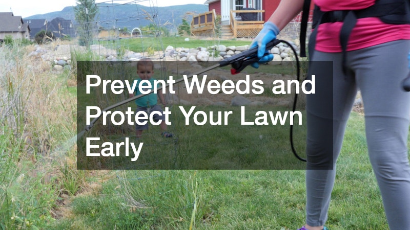 Prevent Weeds and Protect Your Lawn Early