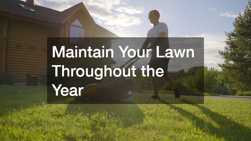 Maintain Your Lawn Throughout the Year