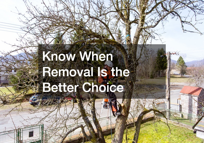 Know When Removal Is the Better Choice