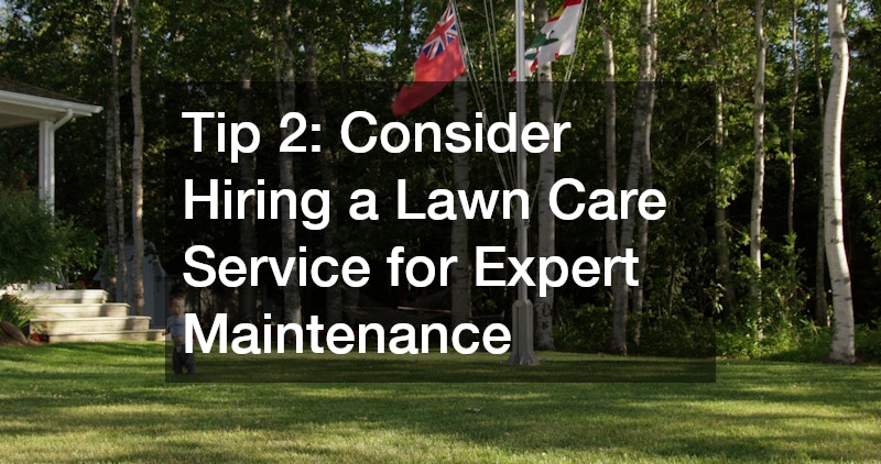 Tip 2: Consider Hiring a Lawn Care Service for Expert Maintenance