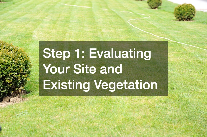 Step 1: Evaluating Your Site and Existing Vegetation