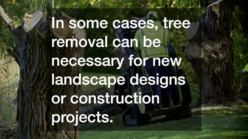 In some cases, tree removal can be necessary for new landscape designs or construction projects.
