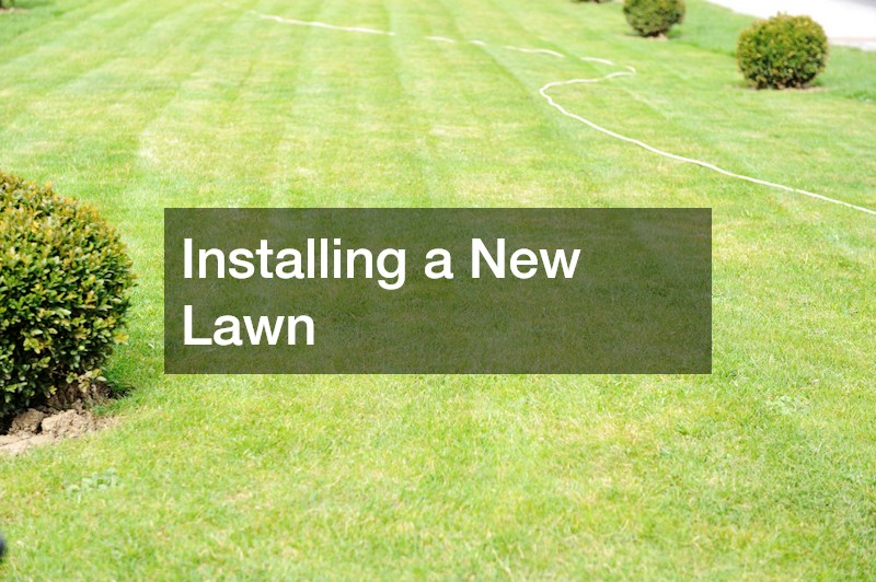 Installing a New Lawn