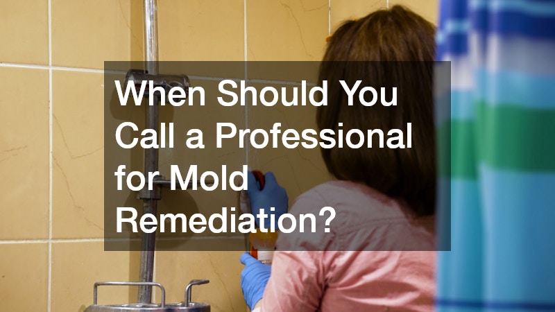 When Should You Call a Professional for Mold Remediation?