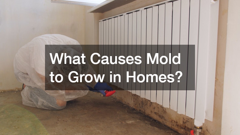 What Causes Mold to Grow in Homes?