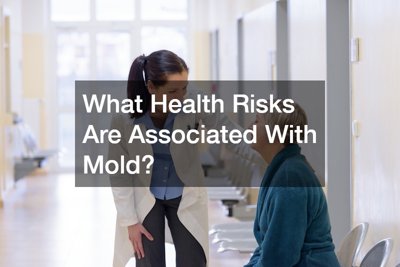 What Health Risks Are Associated With Mold?