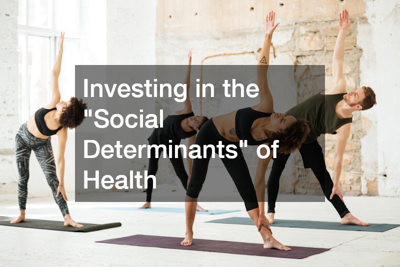 Investing in the "Social Determinants" of Health
