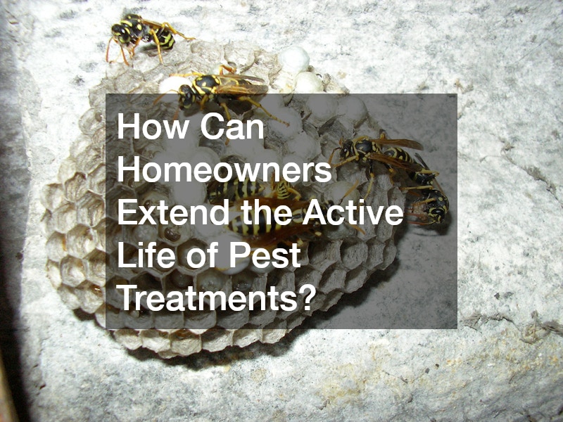 How Can Homeowners Extend the Active Life of Pest Treatments?