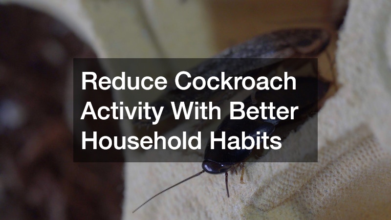 Reduce Cockroach Activity With Better Household Habits
