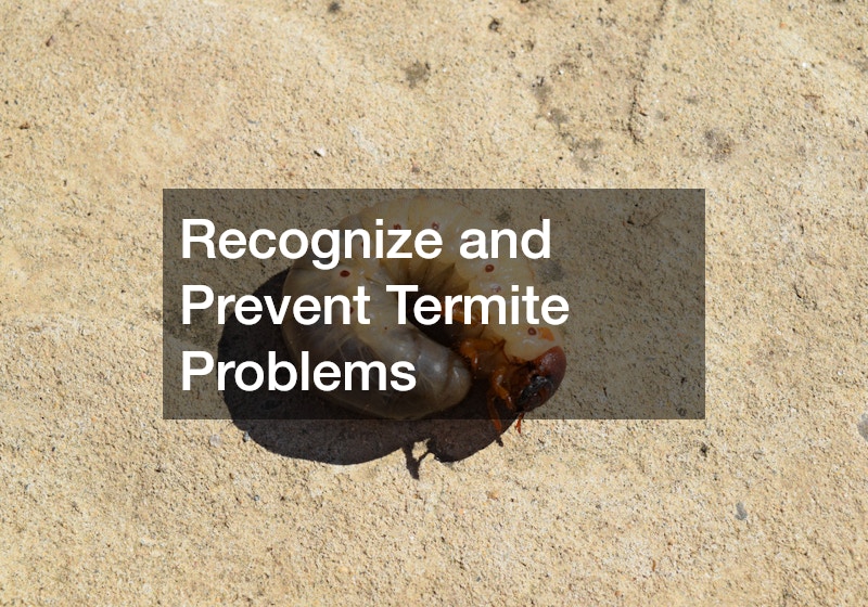 Recognize and Prevent Termite Problems